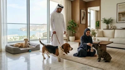 lazy dog breeds for apartments